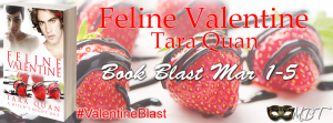 Valentine%20Banner%20Large