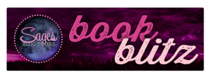 bookblitz banner